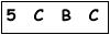 salt-9C4B0337